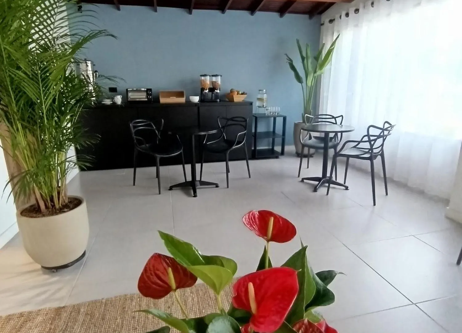 Bluelux Med - B&B Medellín Bed & Breakfast