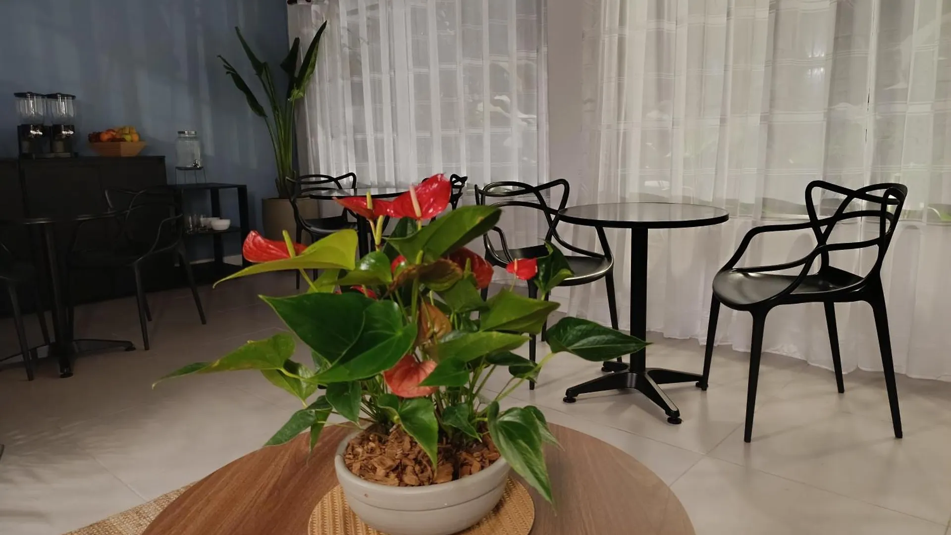 Bluelux Med - B&B Medellín 0*,  Colombia